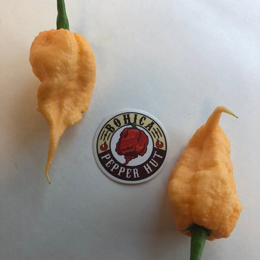 Peach Reaper (California Reaper) - Seeds - The Pepper Pantry (Formerly Marie Sharp's)